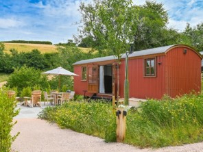 1 Bedroom Bespoke Willow Shepherds Lodge with Hot Tub near Dittisham, Devon, England